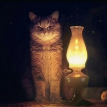 Light schrodinger cat