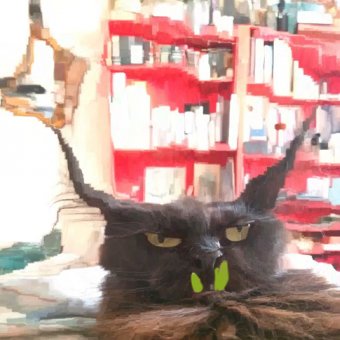 Avatar